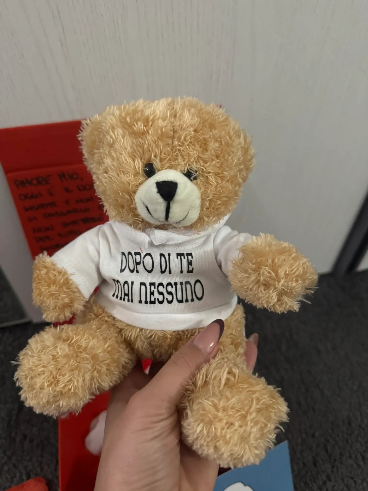 Peluche Teddy con Felpa Personalizzata