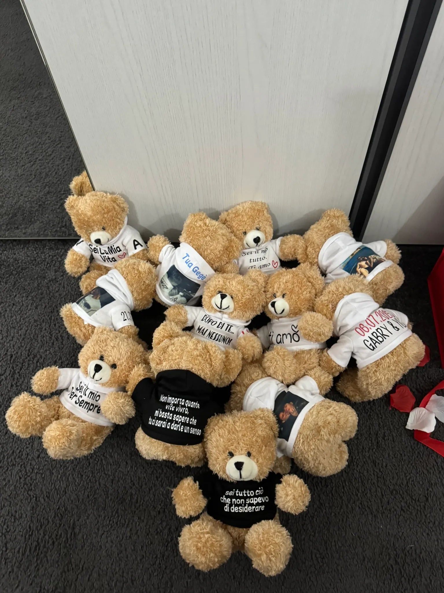 Peluche Teddy con Felpa Personalizzata