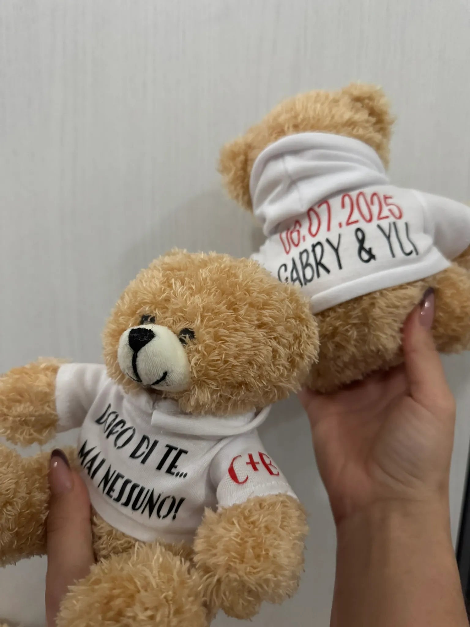 Peluche Teddy con Felpa Personalizzata
