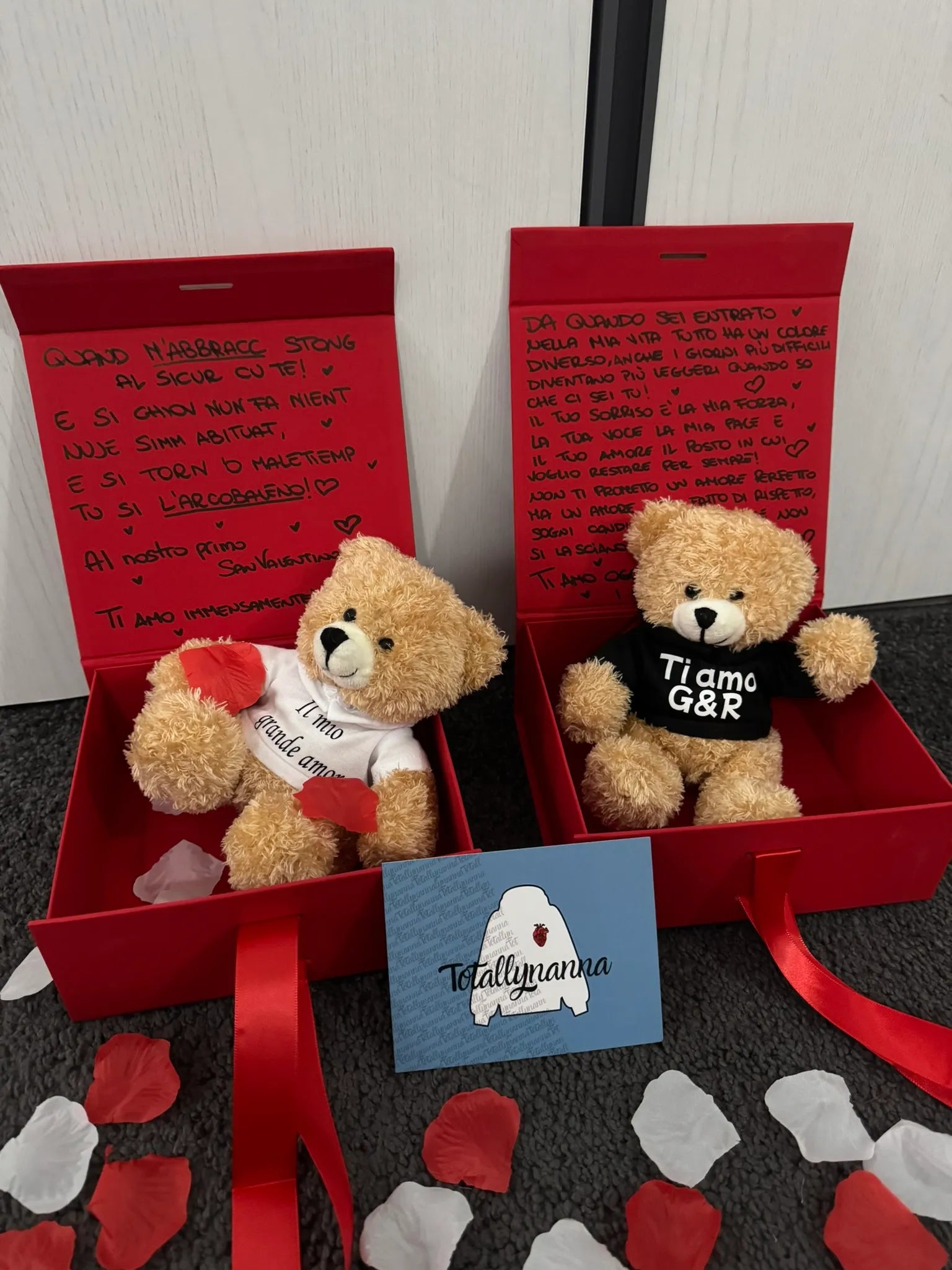 Peluche Teddy con Felpa Personalizzata