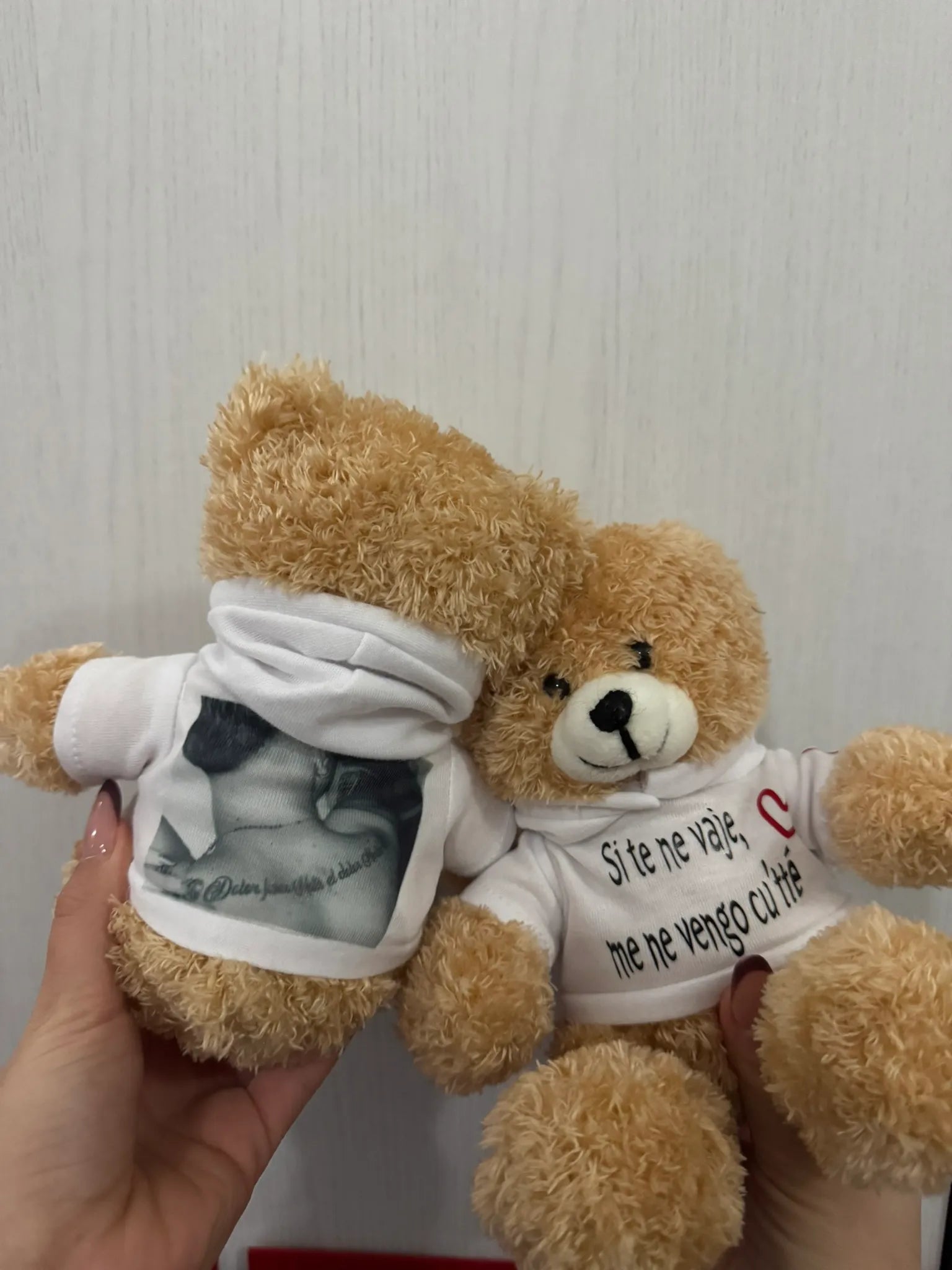 Peluche Teddy con Felpa Personalizzata