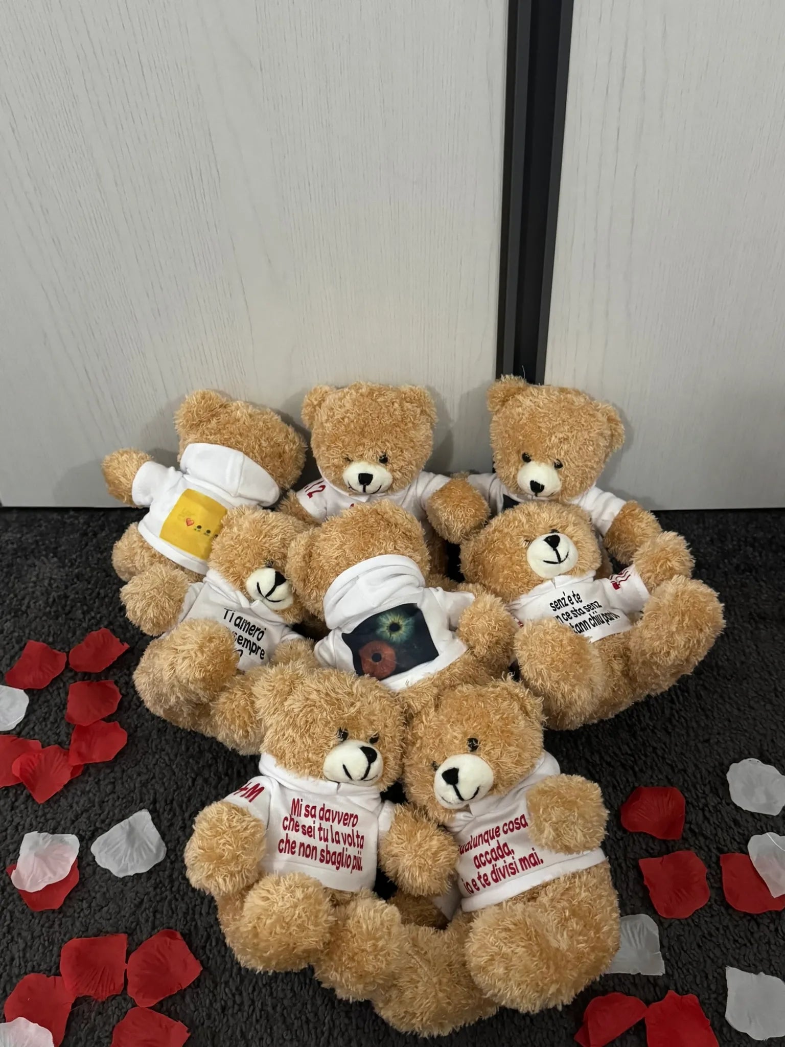 Peluche Teddy con Felpa Personalizzata