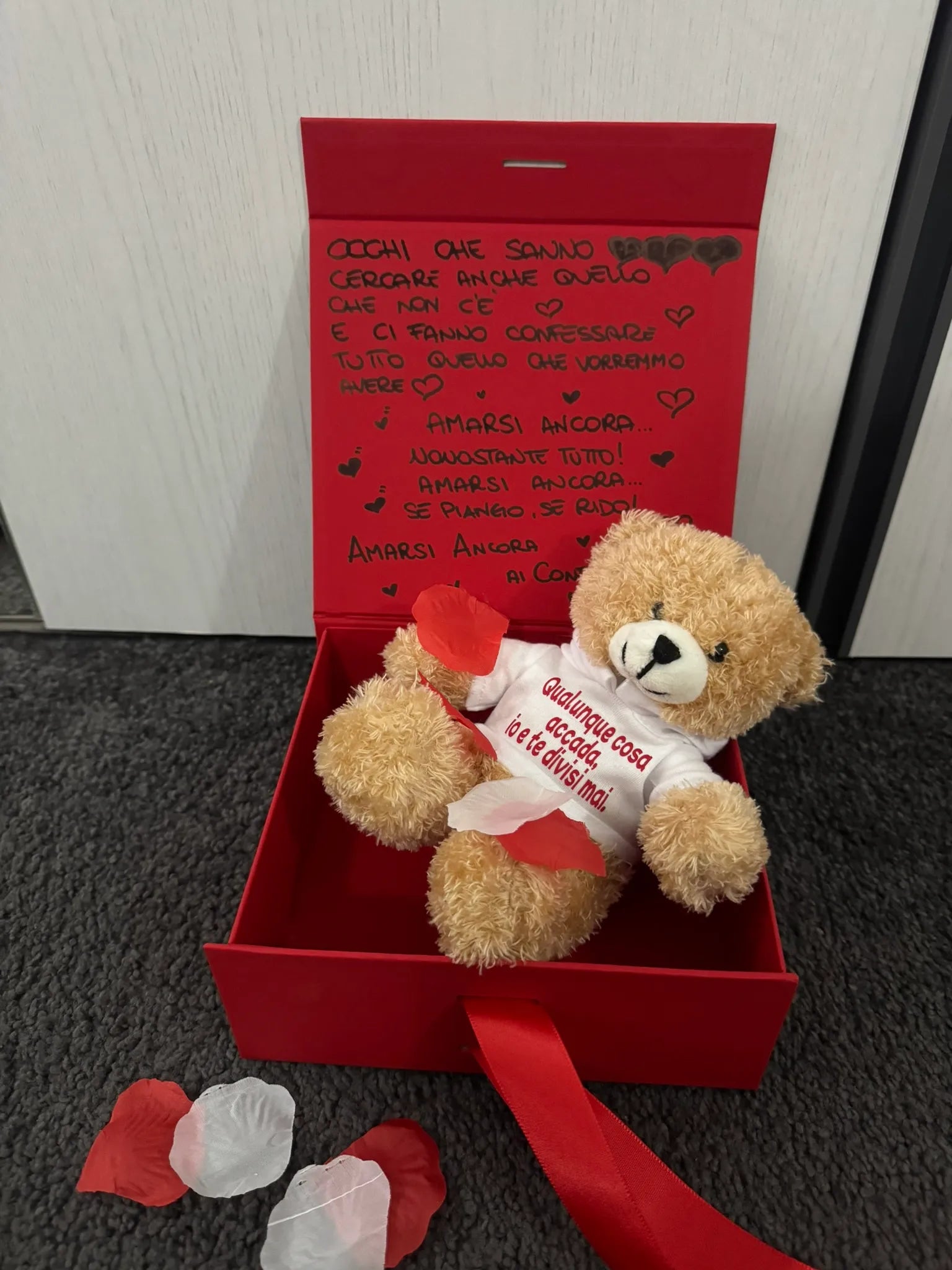 Peluche Teddy con Felpa Personalizzata