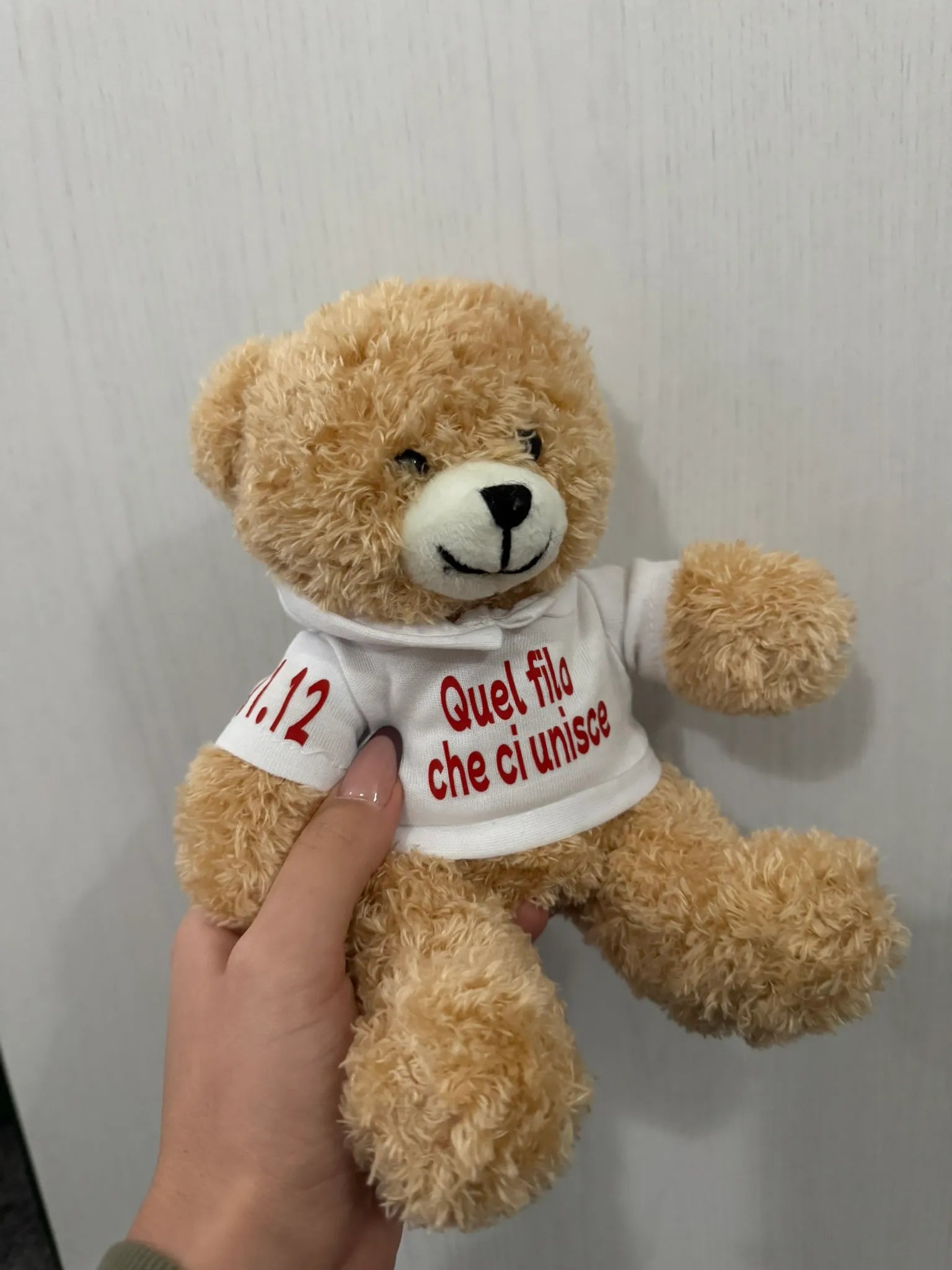 Peluche Teddy con Felpa Personalizzata