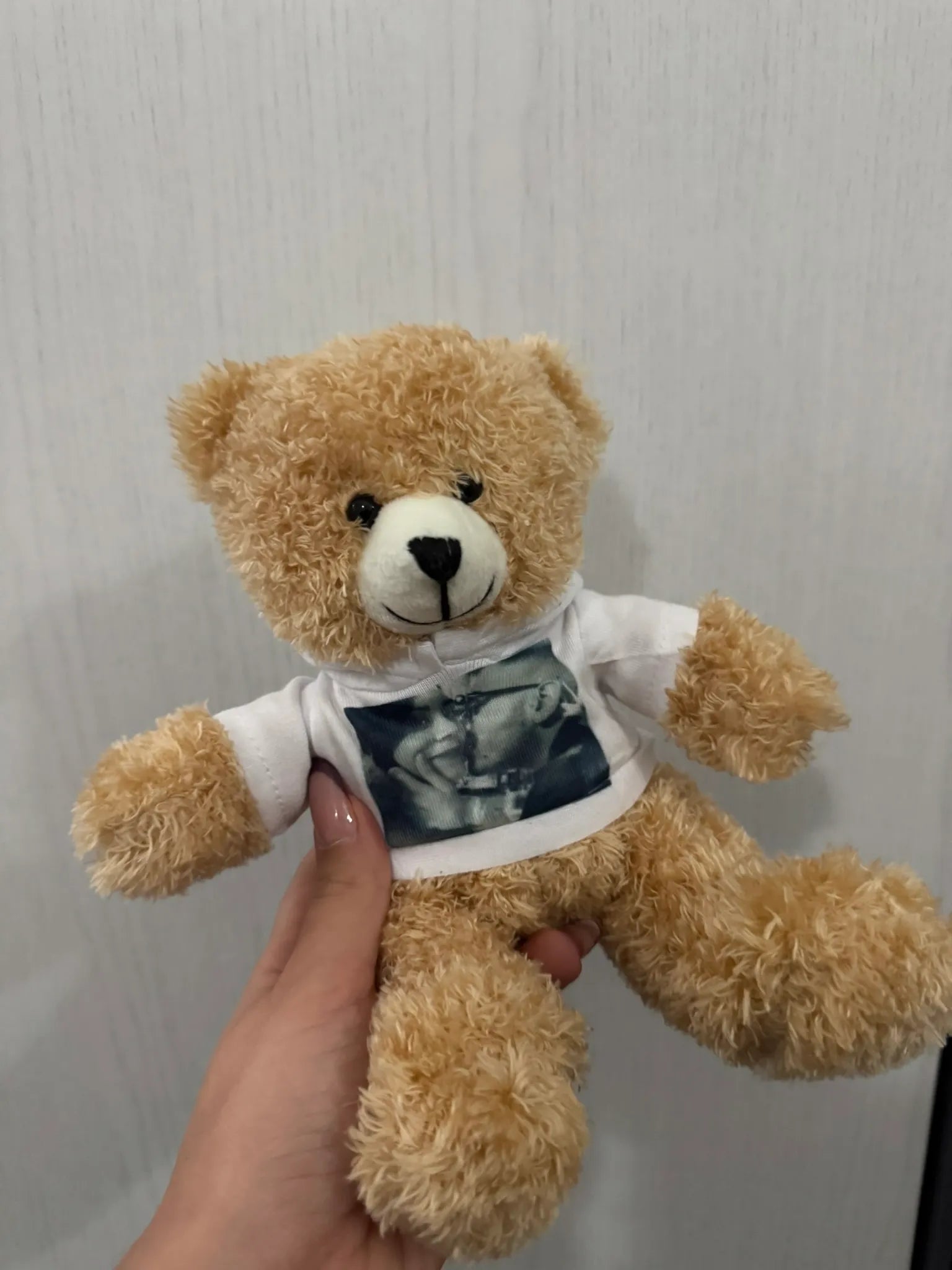 Peluche Teddy con Felpa Personalizzata