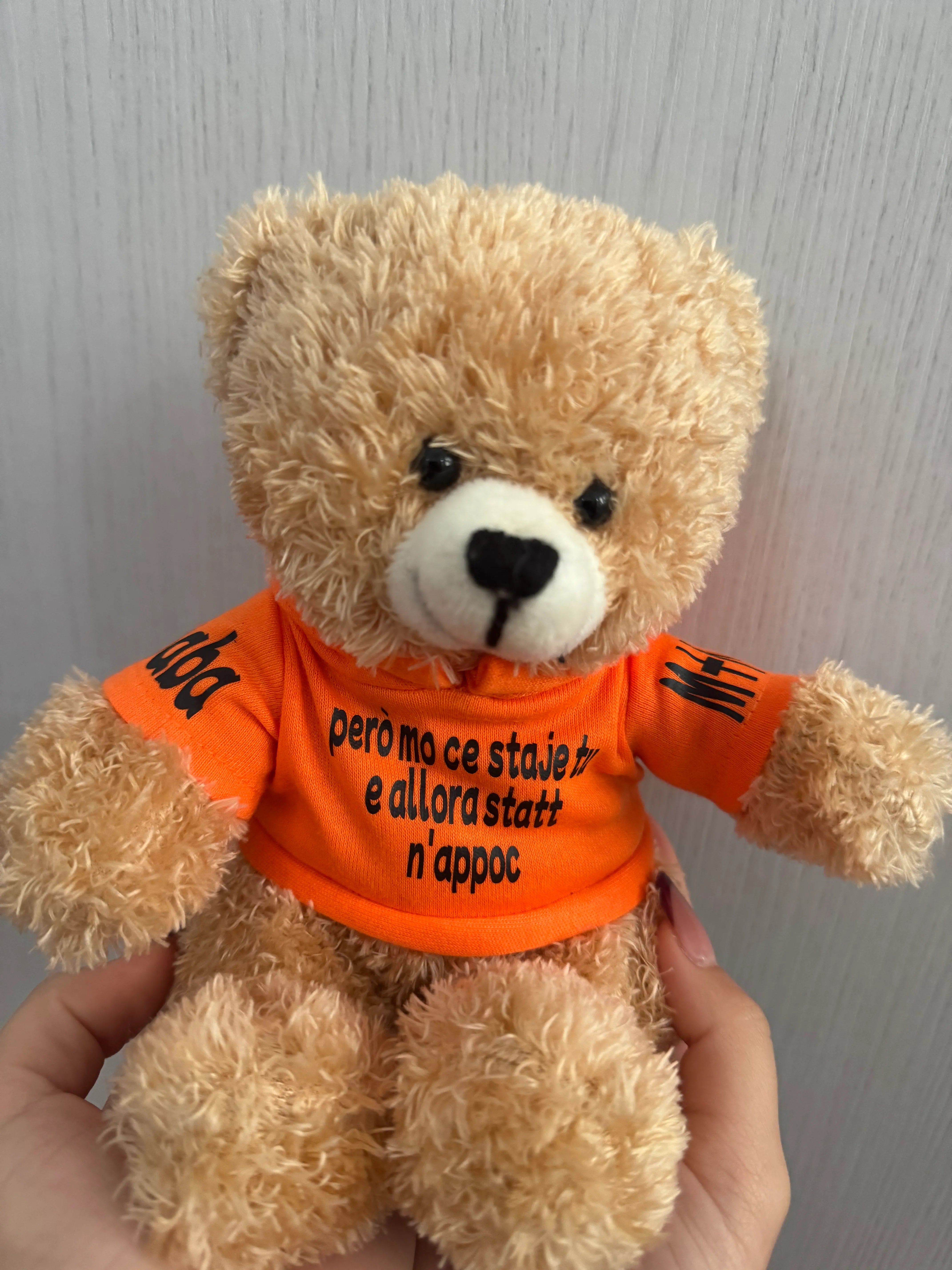 Peluche Teddy con Felpa Personalizzata