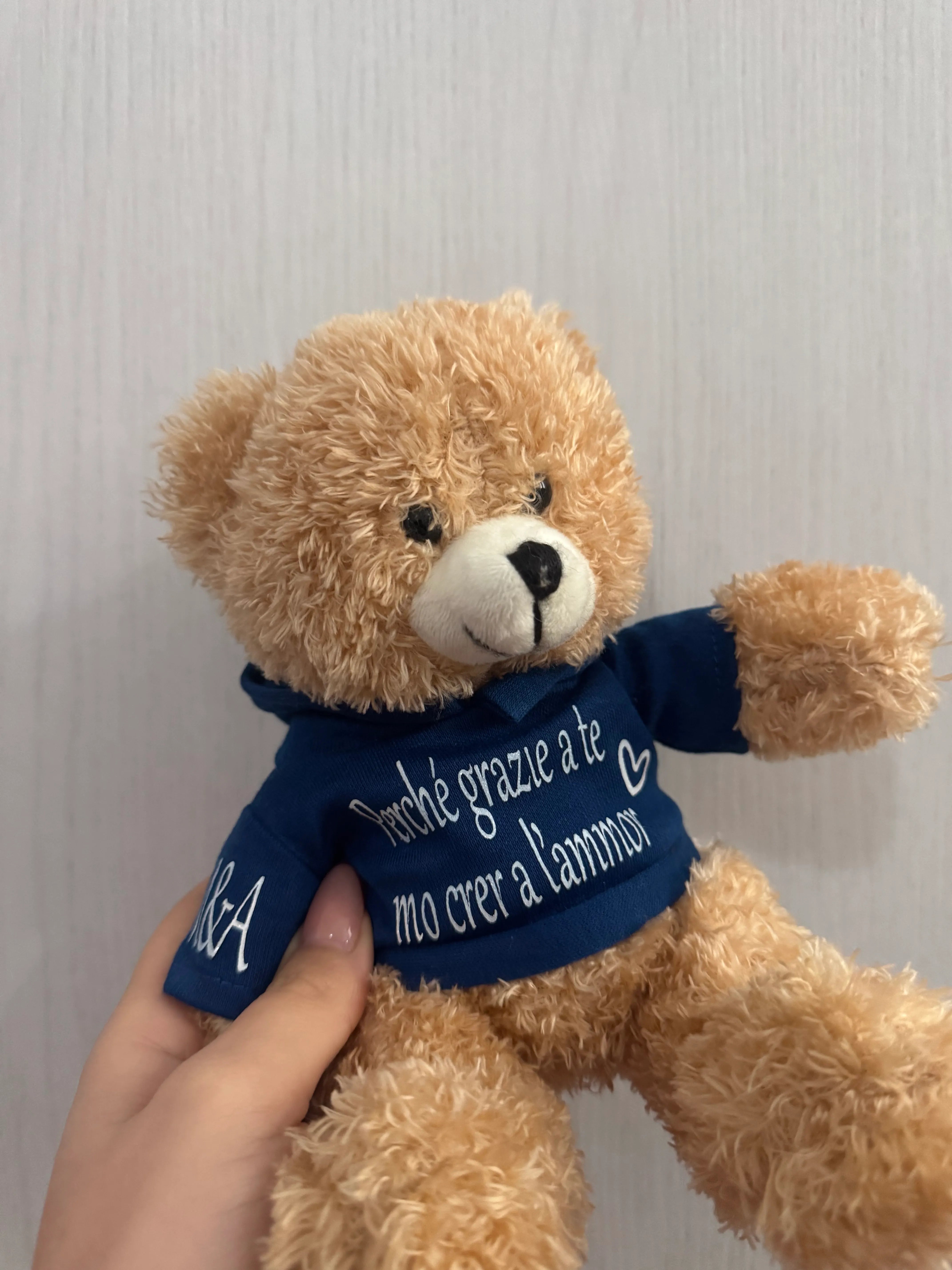 Peluche Teddy con Felpa Personalizzata