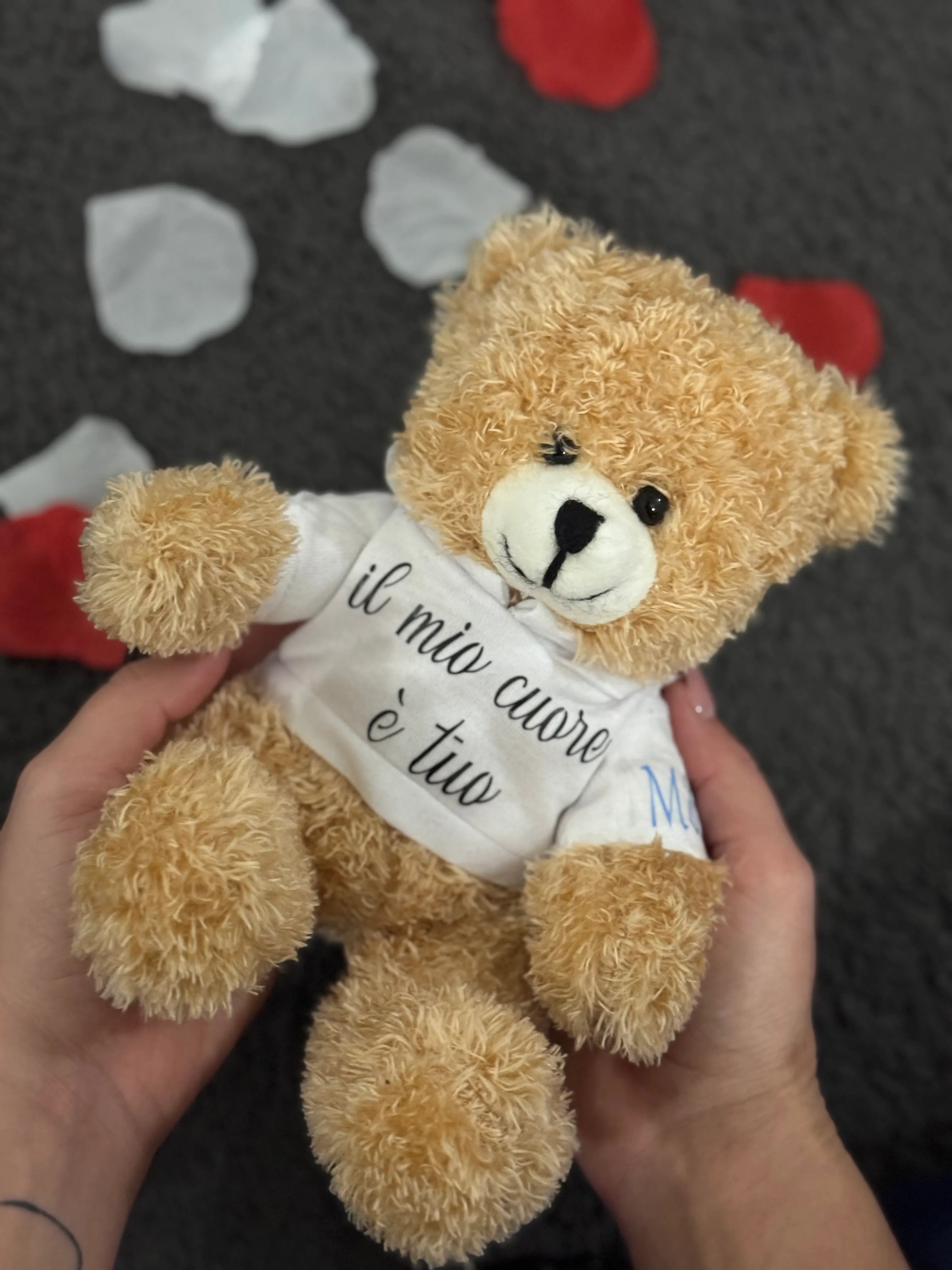 Peluche Teddy con Felpa Personalizzata