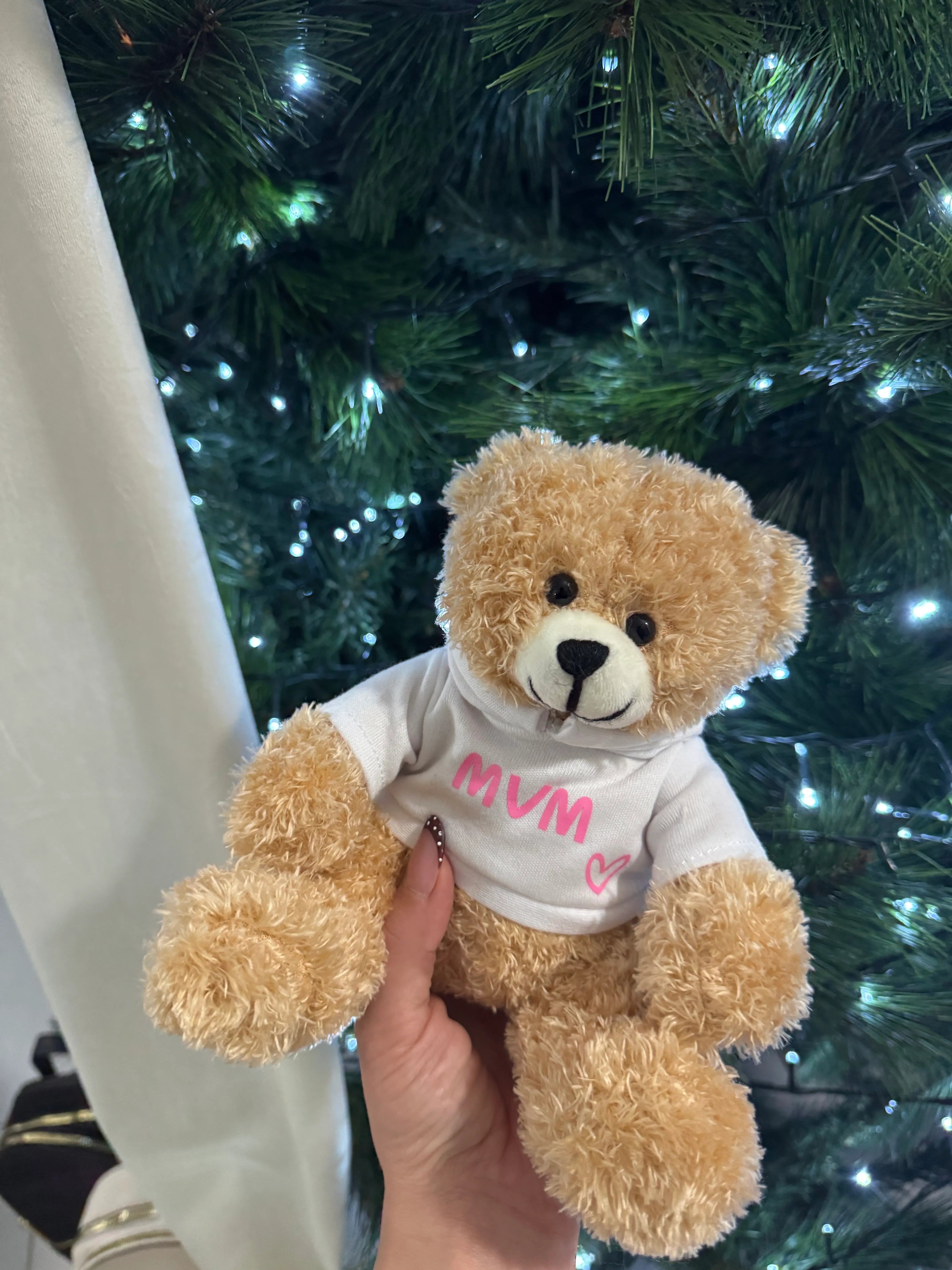 Peluche Teddy con Felpa Personalizzata