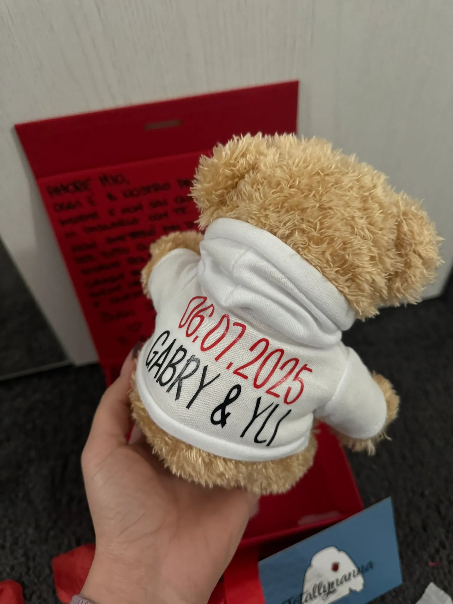 Peluche Teddy con Felpa Personalizzata