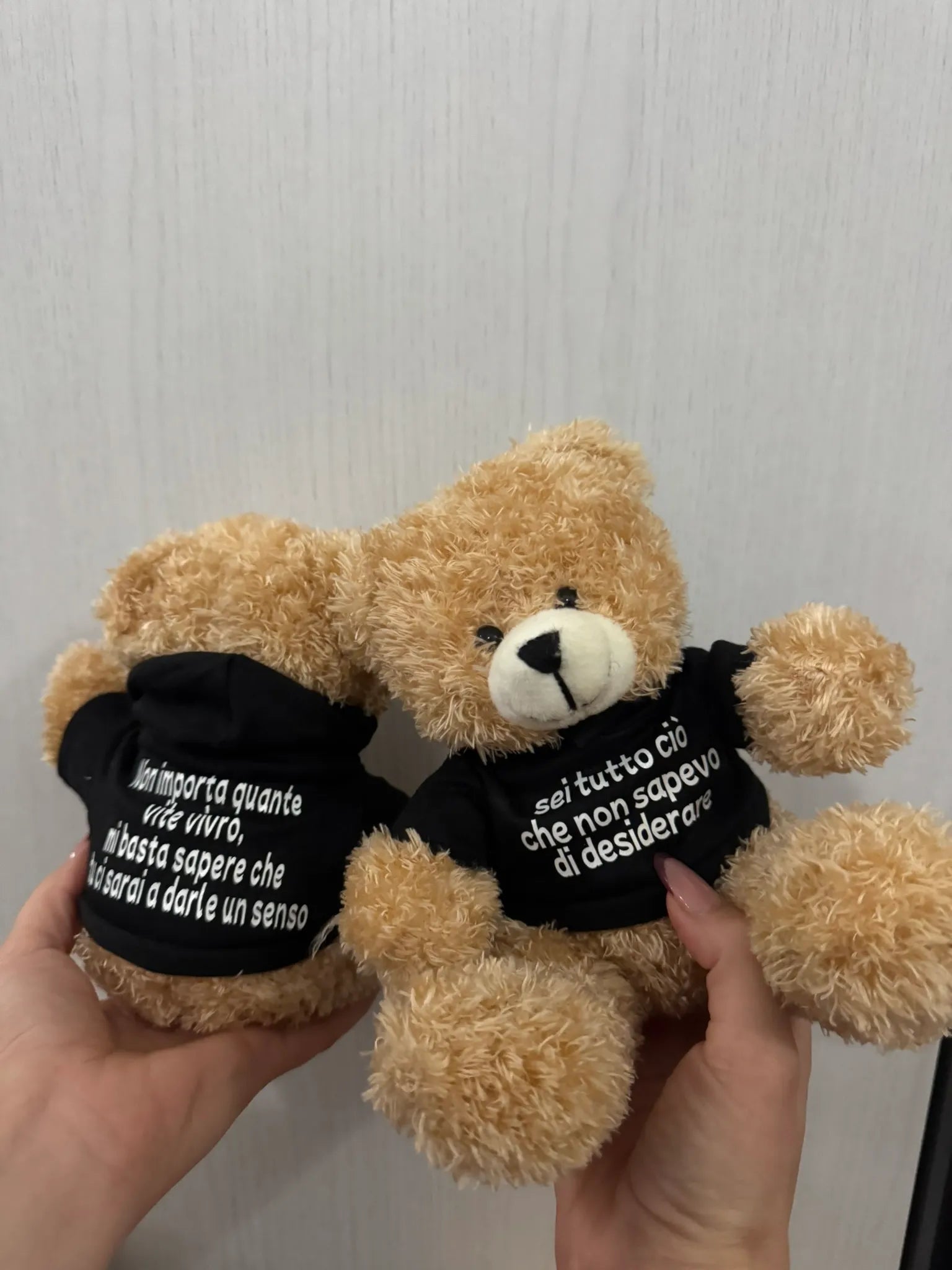 Peluche Teddy con Felpa Personalizzata