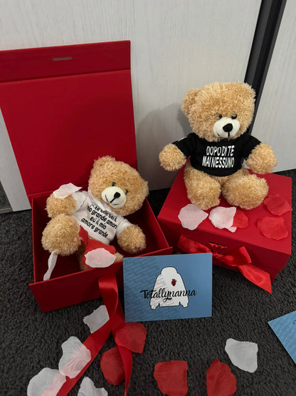 Peluche Teddy con Felpa Personalizzata