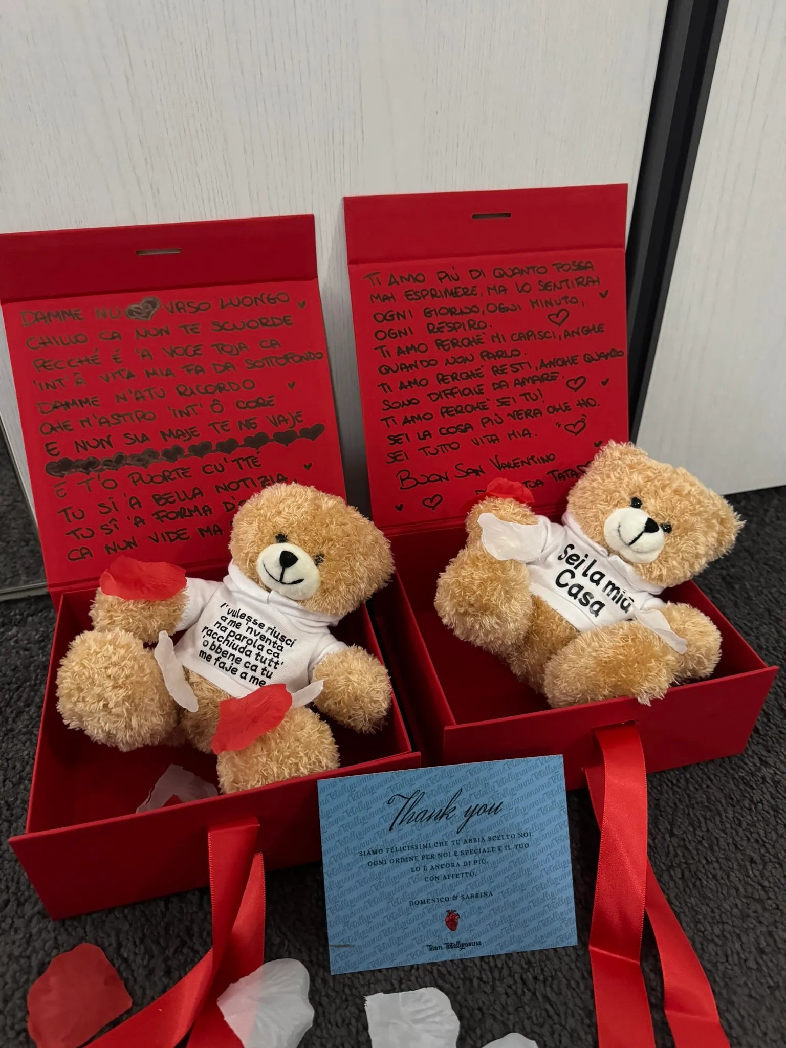 Peluche Teddy con Felpa Personalizzata