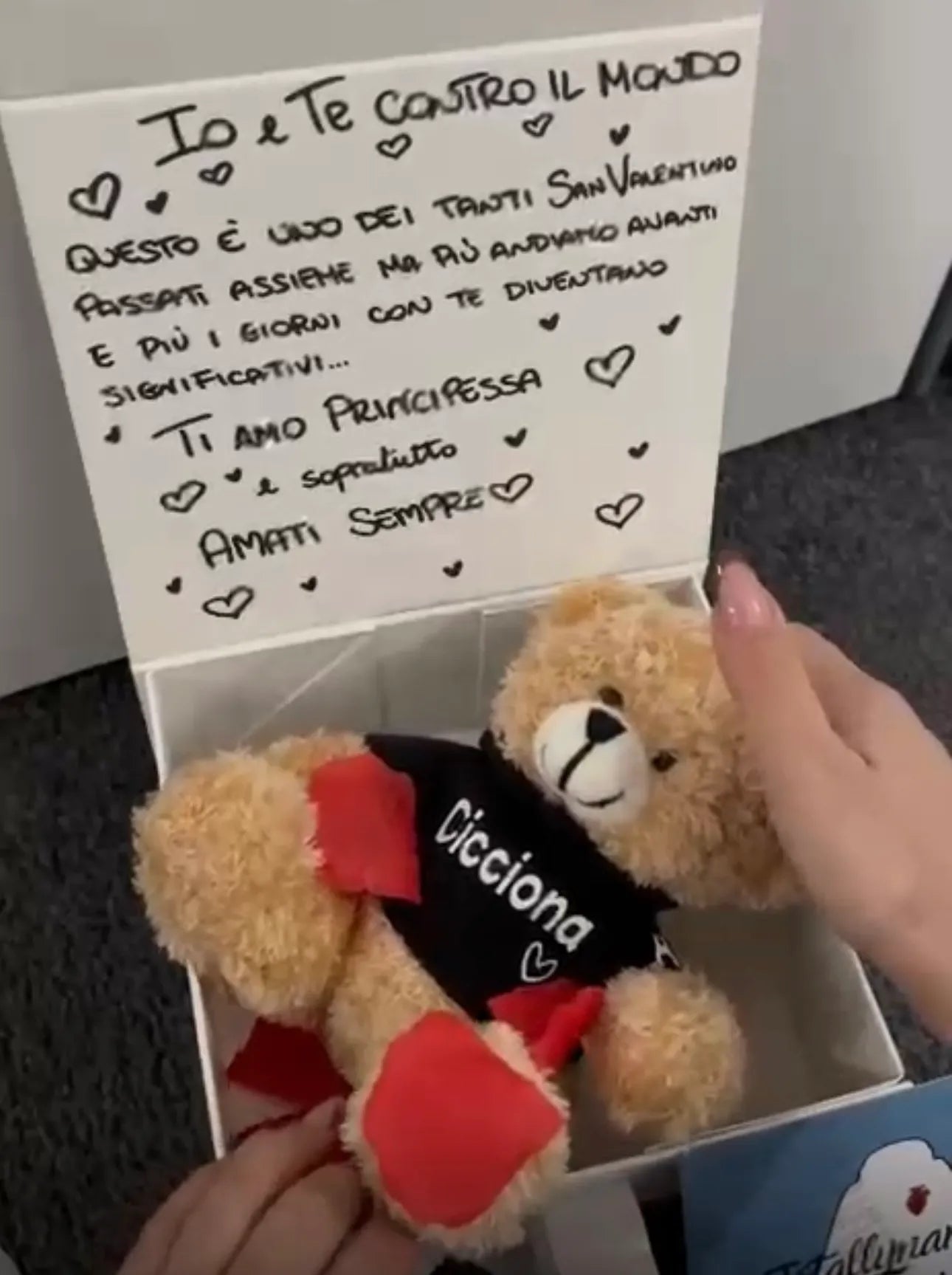 Peluche Teddy con Felpa Personalizzata