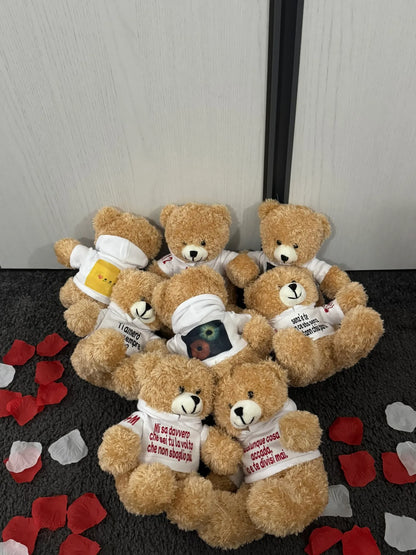 Peluche Teddy con Felpa Personalizzata