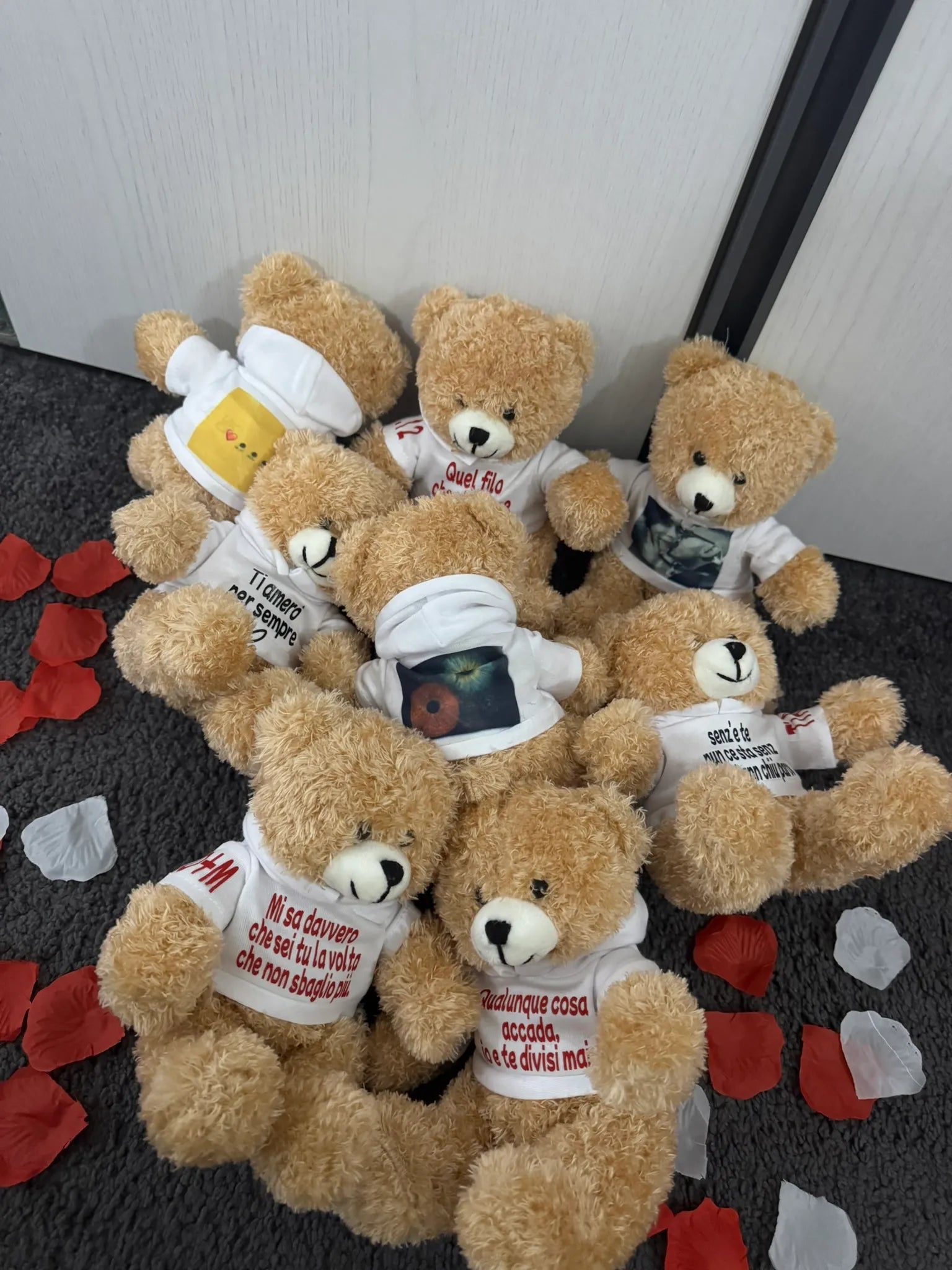 Peluche Teddy con Felpa Personalizzata