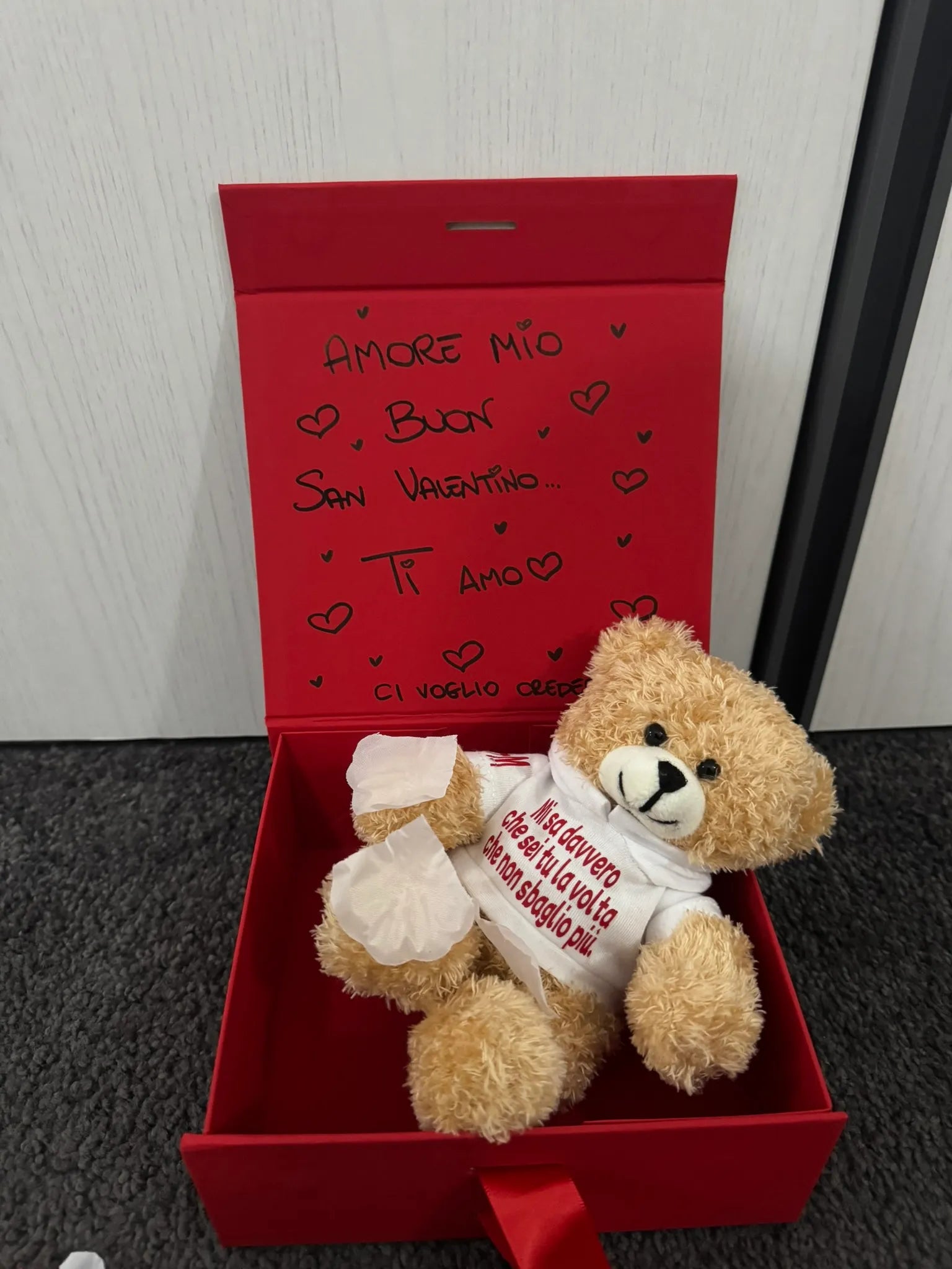 Peluche Teddy con Felpa Personalizzata