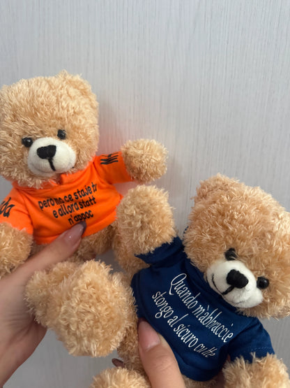 Peluche Teddy con Felpa Personalizzata