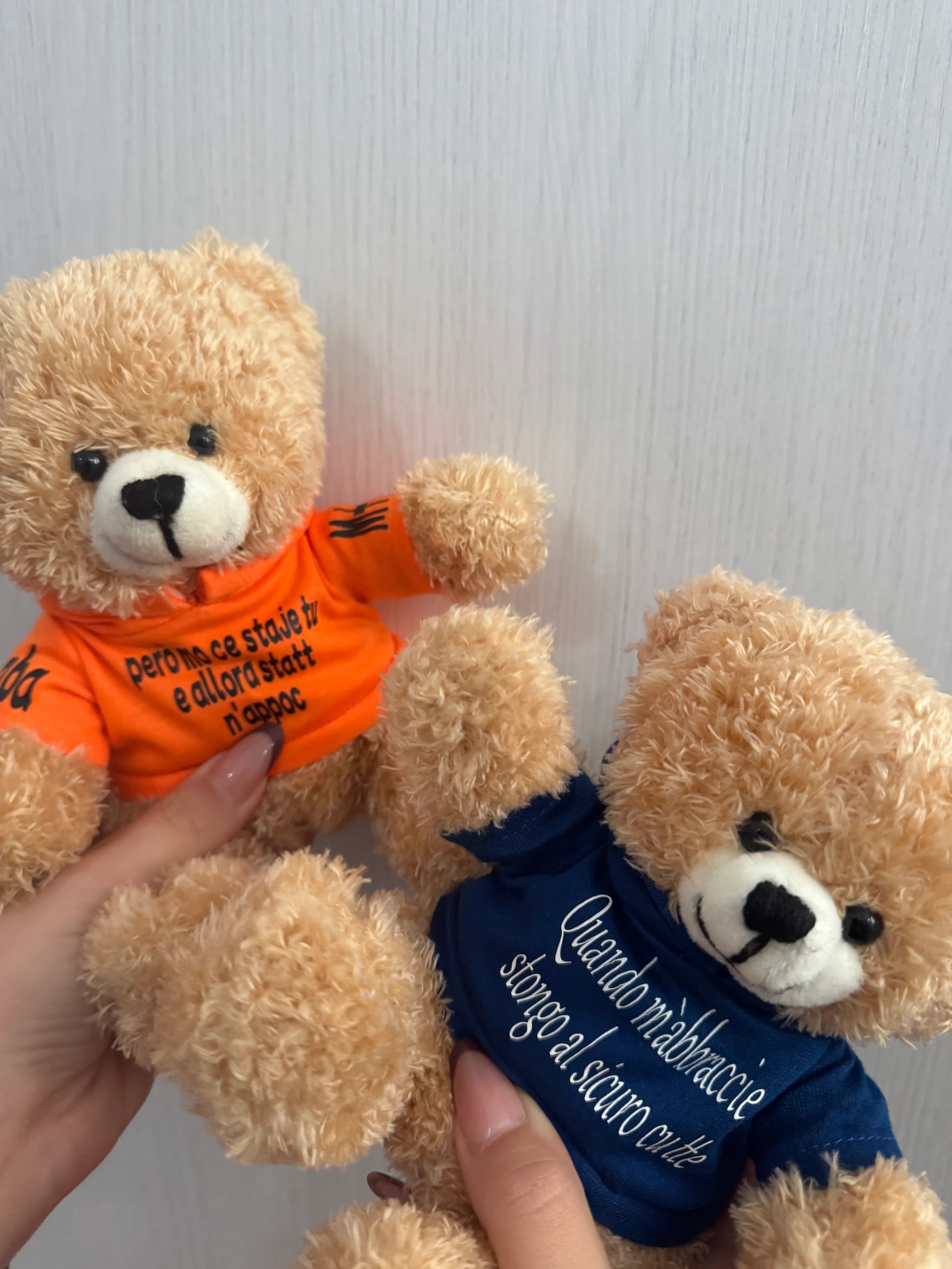 Peluche Teddy con Felpa Personalizzata